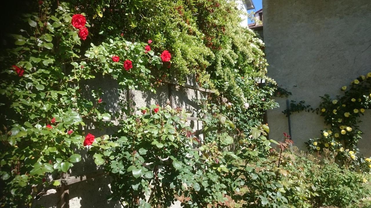 B&B Barbaia Levice Eksteriør billede